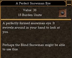 File:A Perfect Snowman Eye.jpg