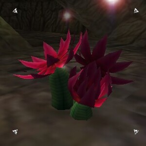 File:Large Desert Flower Live.jpg