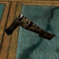 File:Undead Leg Live.jpg