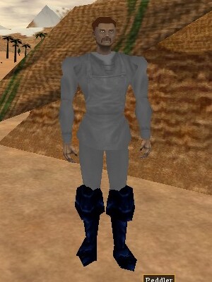 File:Peddler (North Desert Edge) Live.jpg