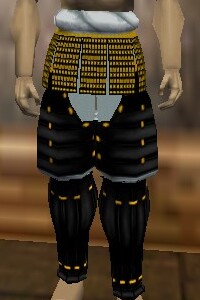 File:O-Yoroi Leggings Live.jpg