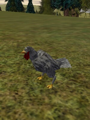 File:The Chicken Live.jpg