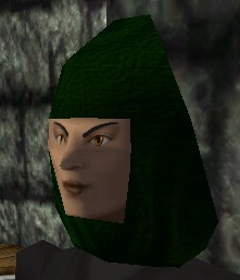 File:Cowl (Store) Holtburg Dark Green Live.jpg