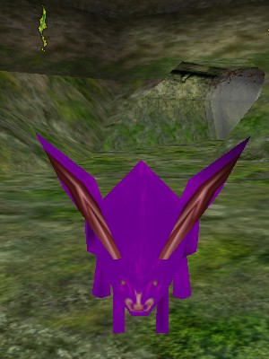 File:Grimacing Rabbit Live.jpg