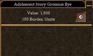 File:Adolescent Ivory Gromnie Eye.jpg