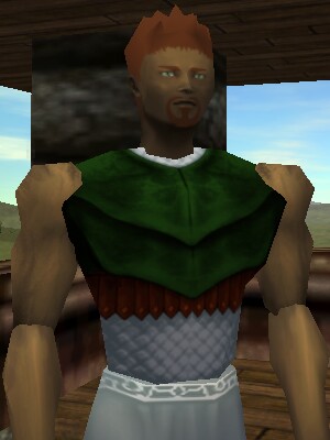 File:Seasoned Explorer Breastplate Live.jpg