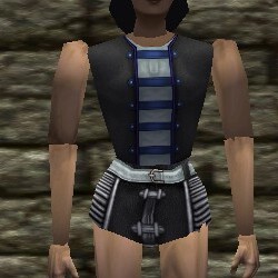 File:Leather Cuirass (Loot) Live.jpg