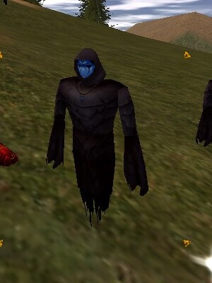 File:Apostate Virindi Aggressor (Level 135) Live.jpg