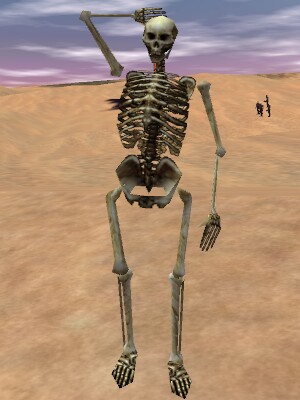 File:Skeleton Live.jpg