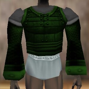 File:Amuli Coat (The Crafter) Verdalim Live.jpg