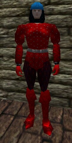 File:Studded Leather Armor Live.jpg