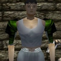 File:Yoroi Pauldrons Live.jpg
