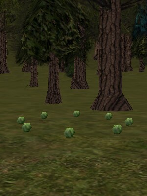 File:84.0S, 11.8W - Cabbage Ring Live.jpg