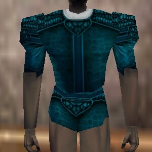 File:Fine Armoredillo Hide Shirt Lapyan Live.jpg