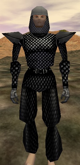 File:Full Scalemail Suit Leggings Live.jpg