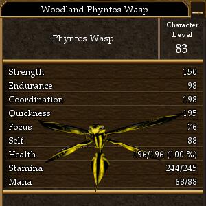 File:Woodland Phyntos Wasp.jpg
