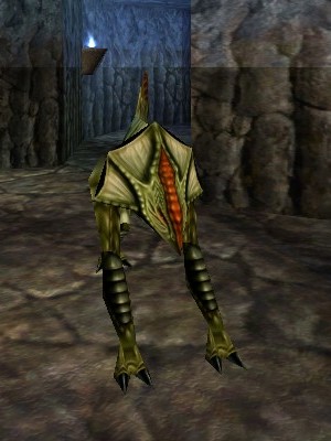 File:Alfrega the Reedshark Live.jpg