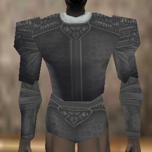 File:Armoredillo Hide Coat Argenory Live.jpg