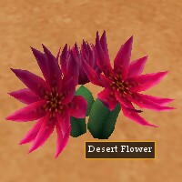 Desert Flower