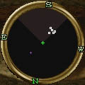 File:Radar Update (Fever Dreams) Live.jpg