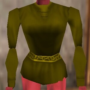 File:Seasoned Explorer Shirt Berimphur Live.jpg