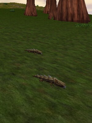 File:Spikey Armoredillo Pup Live.jpg