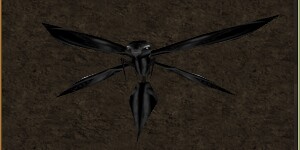 File:Mini Black Phyntos Wasp Live.jpg