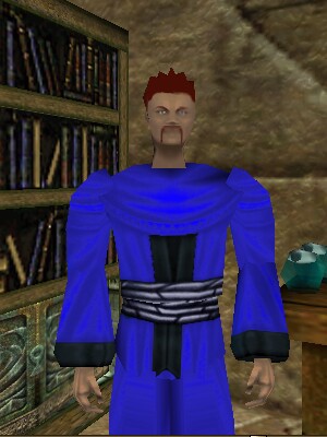 File:Farnor the Archmage Live.jpg