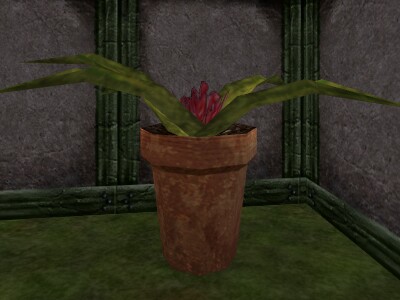 File:Fertilized Sundew Live.jpg