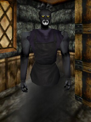 File:Scrivener of Void Magic Live.jpg