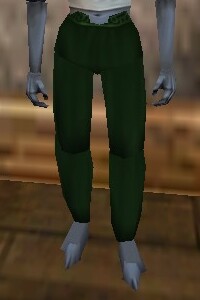 File:Baggy Pants Verdalim Live.jpg