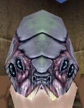 File:Chittick Mask Live.jpg