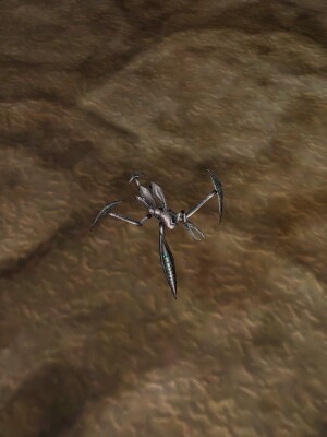 File:Scuttling Grievver Live.jpg