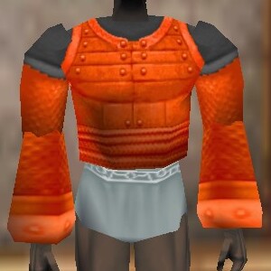 File:Amuli Coat (The Crafter) Fail Live.jpg