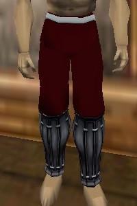 File:Reinforced Shou-jen Shozoku Trousers Hennacin Live.jpg