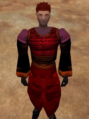 File:Lesser Amuli Shadow Armor Live.jpg