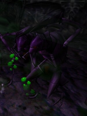 File:Olthoi Swarm Mutilator Live.jpg