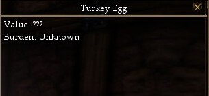 File:Turkey Egg.jpg