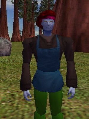 File:Shopkeeper (Sanamar Outskirts) Live.jpg