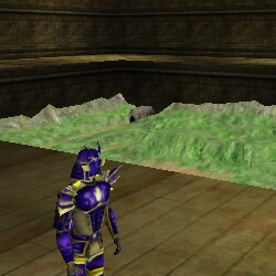 File:Tactical Arena Live.jpg