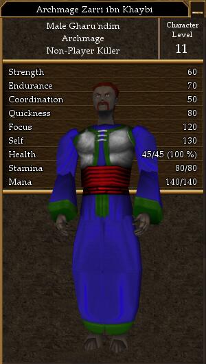 File:Archmage Zarri ibn Khaybi.jpg
