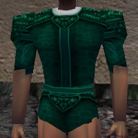 File:Fine Armoredillo Hide Shirt Live.jpg