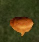 File:Ginger Bread Pumpkin Live.jpg