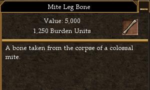 File:Mite Leg Bone.jpg