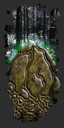 File:0x0500236D.png