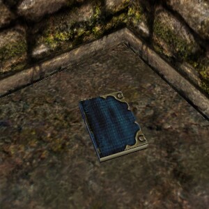 File:Journal of Failed Vengeance Live.jpg
