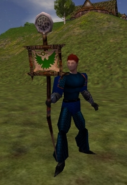 File:Reinforced Falcon Banner with Crest Live.jpg