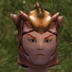 File:Copper Invader Lord Helm Live.jpg