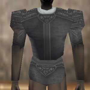 File:Fine Armoredillo Hide Shirt Argenory Live.jpg