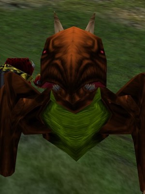 File:Copper Gromnie Live.jpg